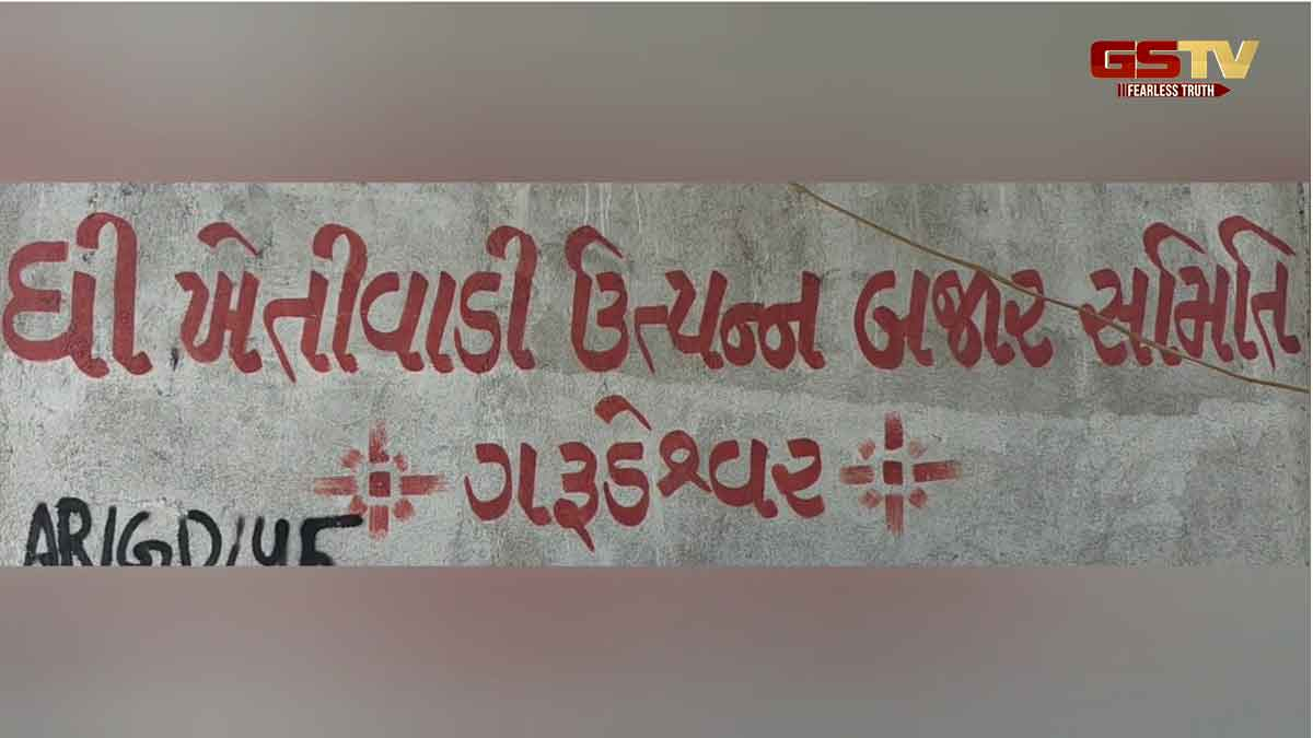 Narmada News: ગરુડેશ્વર APMCમાં સત્તાધિશોની મનમાની, ખેડૂત તાલિમ ભવનની જગ્યાએ 75 લાખની ગ્રાન્ટ હોટલને અપાઈ