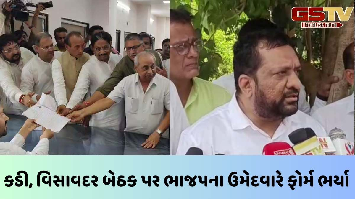 Gujarat By Election: વિસાવદર, કડી બેઠક પર ભાજપના ઉમેદવારોએ ફોર્મ ભરી દાવેદારી નોંધાવી