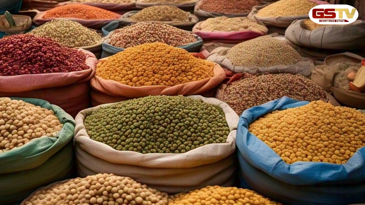 Business Plus: કઠોળની વ્યાપક આયાતથી હેબતાઈ ગયેલો ખેડૂત વર્ગ