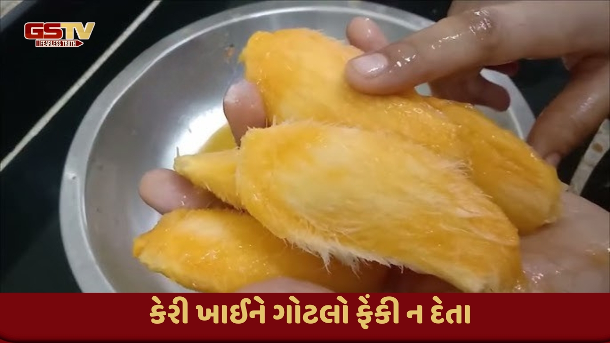 Sahiyar  : કેરી ખાઈને ગોટલો ફેંકી ન દેતા 