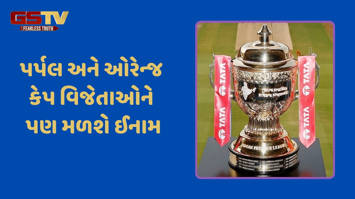IPL 2025 Prize Money / ફાઈનલ બાદ થશે પૈસાનો વરસાદ, જાણો કોને મળશે કેટલા રૂપિયા