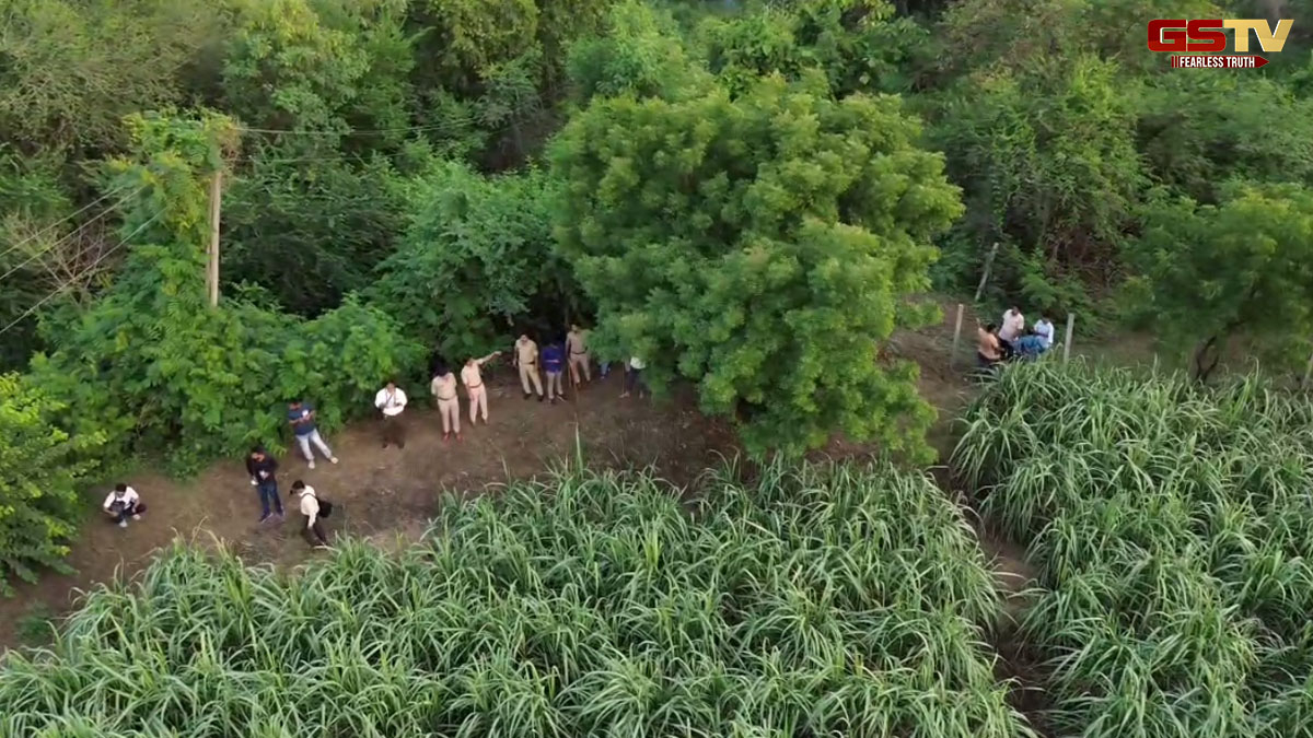 Suratમાં માતાની નજર સામે શ્વાન 1 વર્ષની દિકરીને ઉપાડી ગયું, 200થી વધુ લોકો બાળકીની શોધમાં લાગ્યા