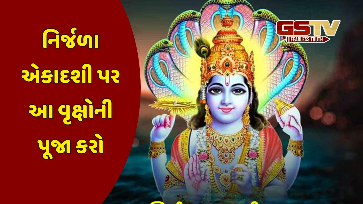 Religion: નિર્જળા એકાદશી પર આ વૃક્ષોને પાણી અર્પણ કરો, તેના વિના વ્રત રહે છે અધૂરું