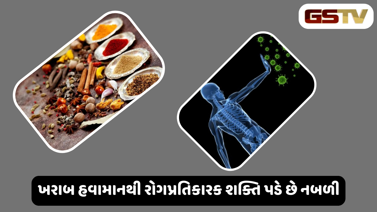 Health Tips : આ 6 મસાલાથી નબળી રોગપ્રતિકારક શક્તિ થશે મજબૂત, જીવલેણ બીમારીઓ રહેશે દૂર