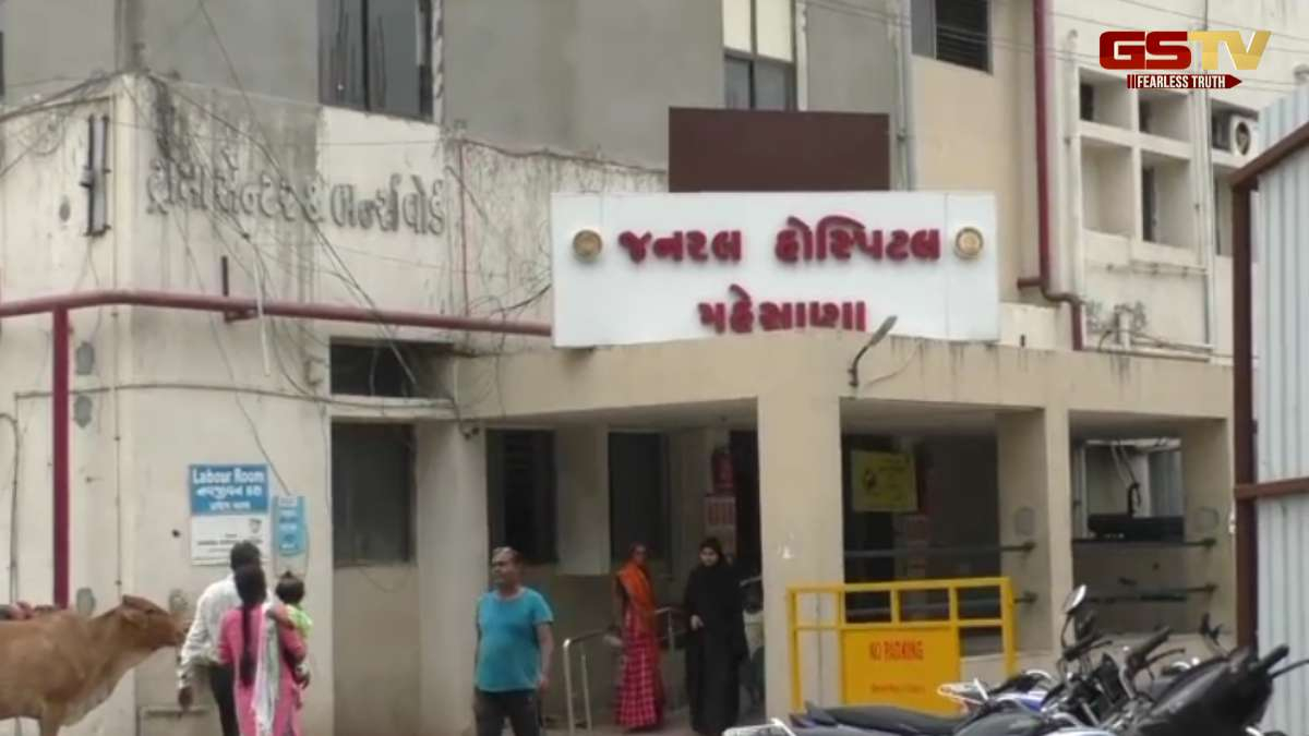 Mehsana : મહેસાણાના સાગથલા ગામે હડકવાથી મહિલાનું મોત, જાણો કઈ નાનકડી ભૂલ મોતના મુખમાં લઈ ગઈ