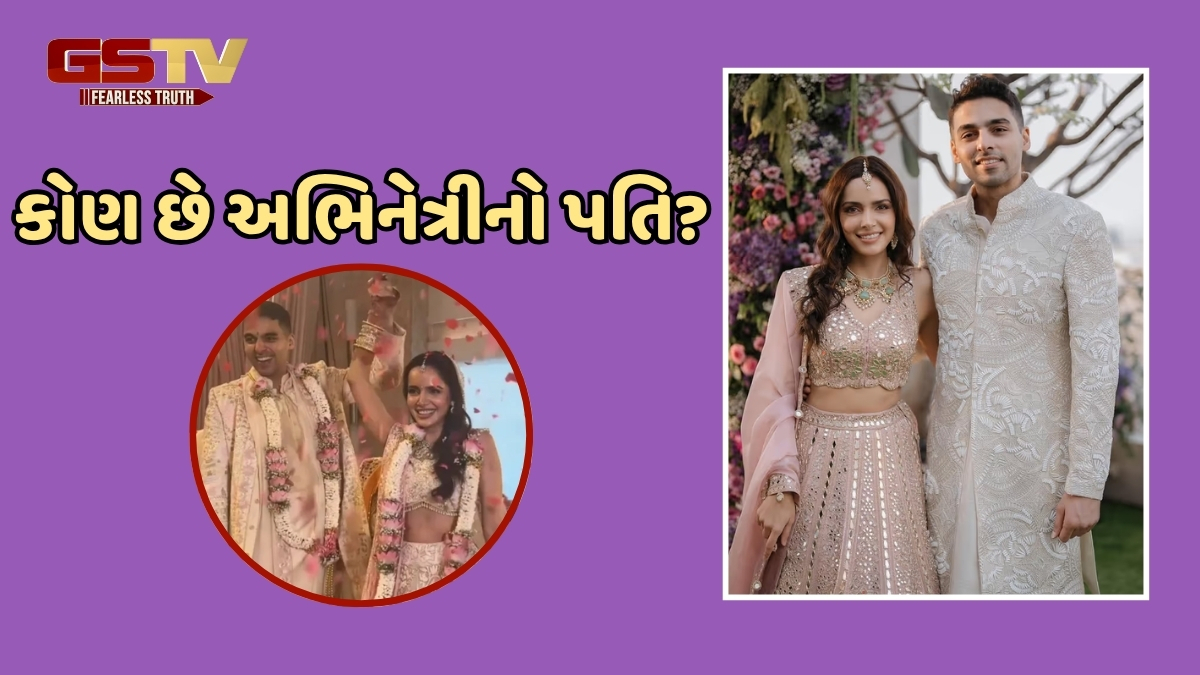 'Housefull 2' ફેમ અભિનેત્રીએ ગુપચુપ રીતે કરી લીધા લગ્ન, બિઝનેસમેન સાથે ફર્યા સાત ફેરા