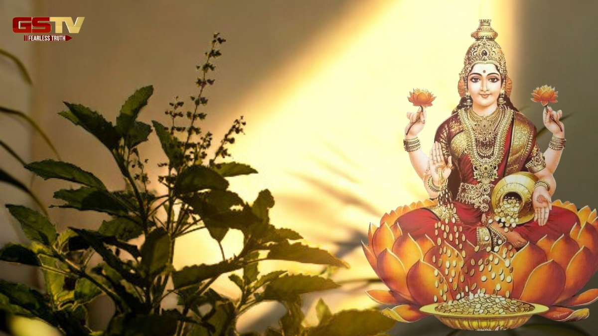 Religion : શું તમે ઘરમાં દેવી લક્ષ્મીને આમંત્રણ આપવા માંગો છો? તો આ 5 છોડ ચોક્કસ વાવો