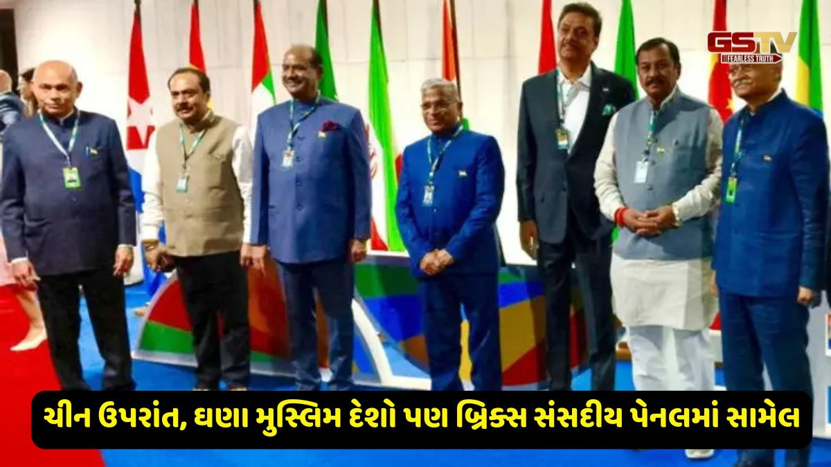 BRICS ના મંચ પરથી પાકિસ્તાનને મોટો ઝટકો, અનેક મુસ્લિમ દેશો પહેલગામ આતંકવાદી હુમલા માટે કાઢી ઝાટકણી