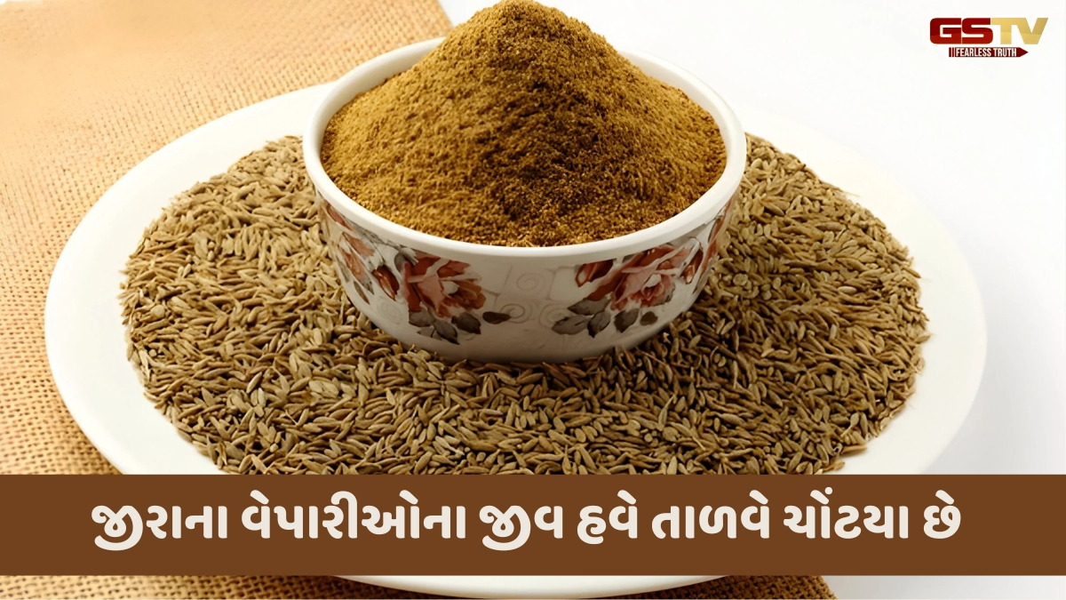 Business Plus : જીરામાં મંદીના ગભરાટથી વેપારમાં વ્યાપક નુકસાનીની દહેશત