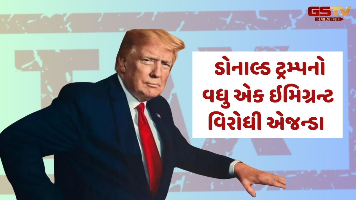 Business Plus: અમેરિકાના રેમિટન્સ ટેક્સની ભારતીય ઇમિગ્રન્ટ્સ પર સીધી અસર પડશે