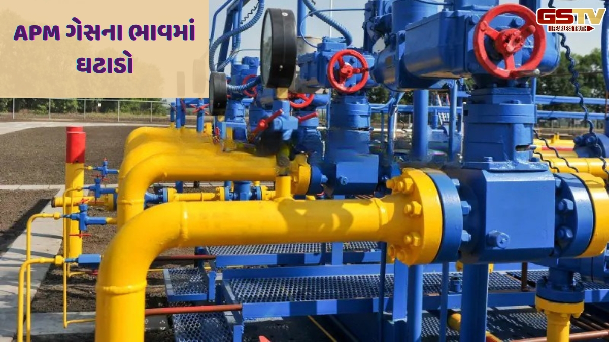 Business Plus : બે વર્ષમાં પહેલી વાર APM ગેસના ભાવમાં ઘટાડો