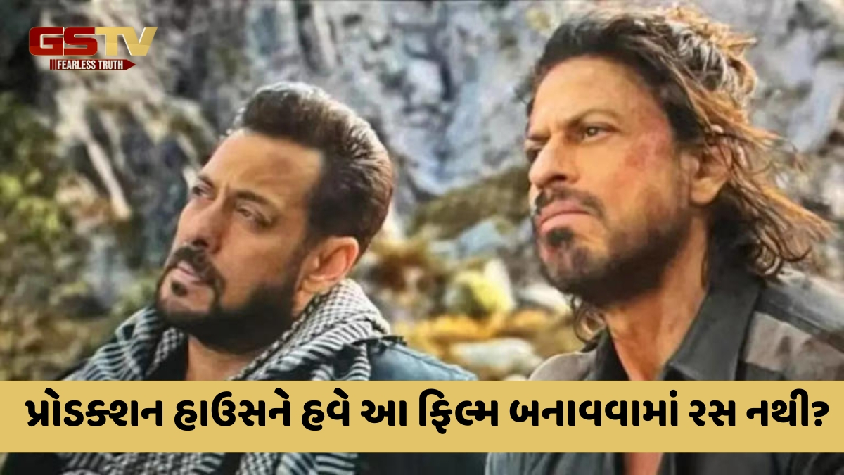 Salman અને Shah Rukhની ફિલ્મ 'Tiger vs Pathaan' રખાઈ મુલત્વી, જાણો શું છે કારણ