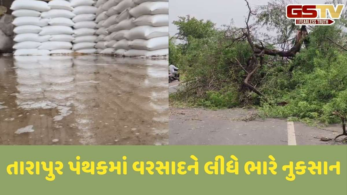 Anand news: આણંદના તારાપુરમાં ભારે પવન સાથે ખાબકેલા વરસાદથી ભારે નુકસાન