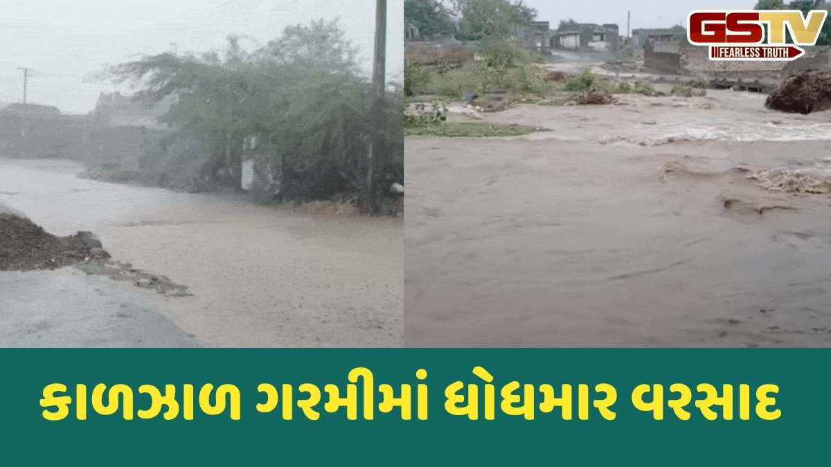 Rain in Gujarat: રાજ્યના 148 તાલુકામાં ધોધમાર વરસાદ, પાલનપુરમાં 2 કલાકમાં 2 ઈંચ વરસાદ નોંધાયો