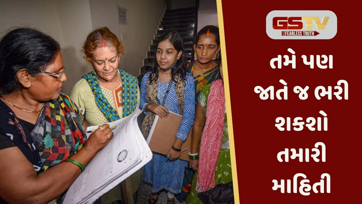 દેશમાં પહેલીવાર થશે ડિજિટલ વસ્તી ગણતરી, 30 જેટલા સવાલોના આપવા પડશે જવાબ 