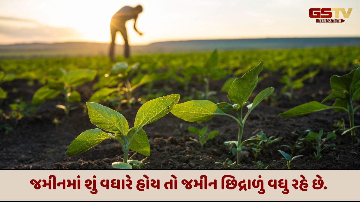 Business Plus : કાર્બનનું લેવલ ઘટતા ફળદ્રુપતા ગુમાવી રહેલી ખેતીની જમીન