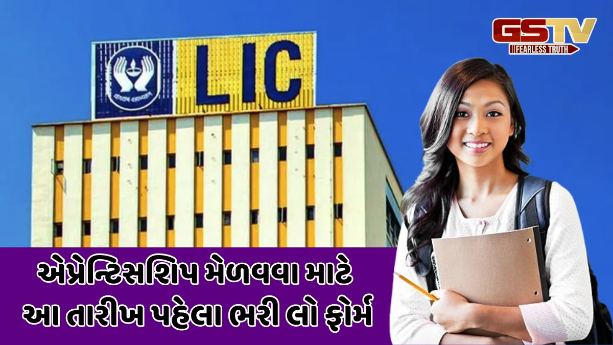 JOB / LIC HFLમાં એપ્રેન્ટિસશિપ મેળવવાની સુવર્ણ તક, જાણો કોણ કરી શકે છે અરજી