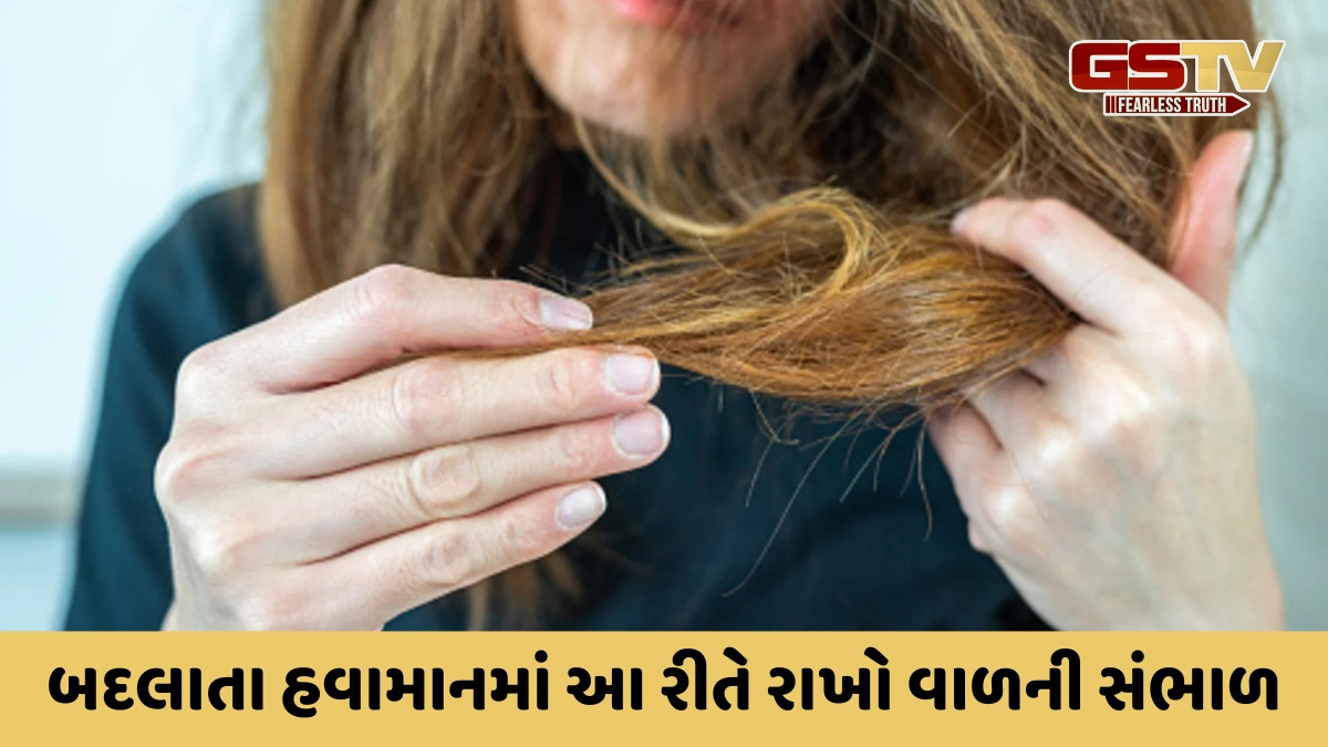 Hair Care Tips / શું તમે પણ ડ્રાય વાળથી પરેશાન છો? તો બદલાતા હવામાનમાં ફોલો કરો આ 5 ટિપ્સ