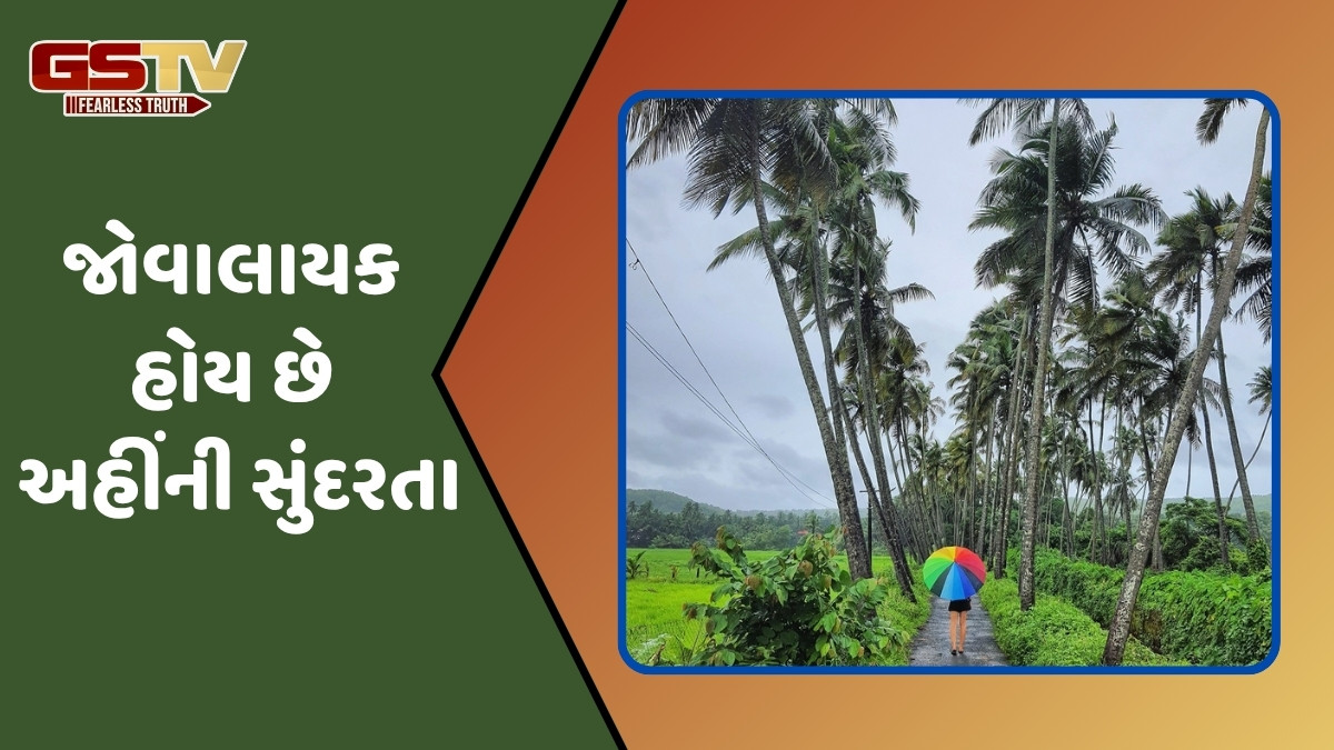Travel Places / ચેરાપુંજી-શિલોંગ છોડો! આ વખતે વરસાદની ઋતુમાં લો ભારતની આ 5 જગ્યાઓની મુલાકાત