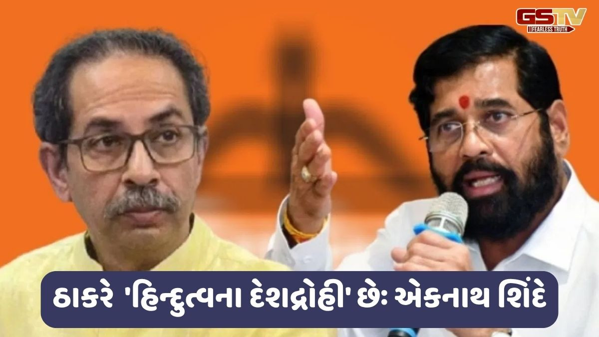 'સિંહનું ચામડું ઓઢી લેવાથી કોઈ સિંહ નથી બનતું, કાંડામાં તાકાત હોવી જોઈએ': ઉદ્ધવ પર શિંદેના પ્રહાર