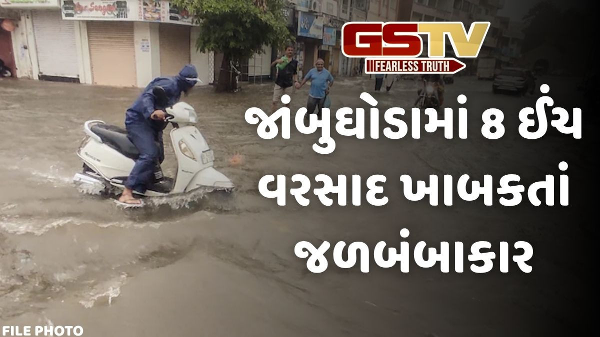 Gujarat rain: આગામી 5 દિવસ આ વિસ્તારોમાં વરસાદનું યલો એલર્ટ, જાણો છેલ્લા 24 કલાકમાં ક્યાં કેટલો ખાબક્યો