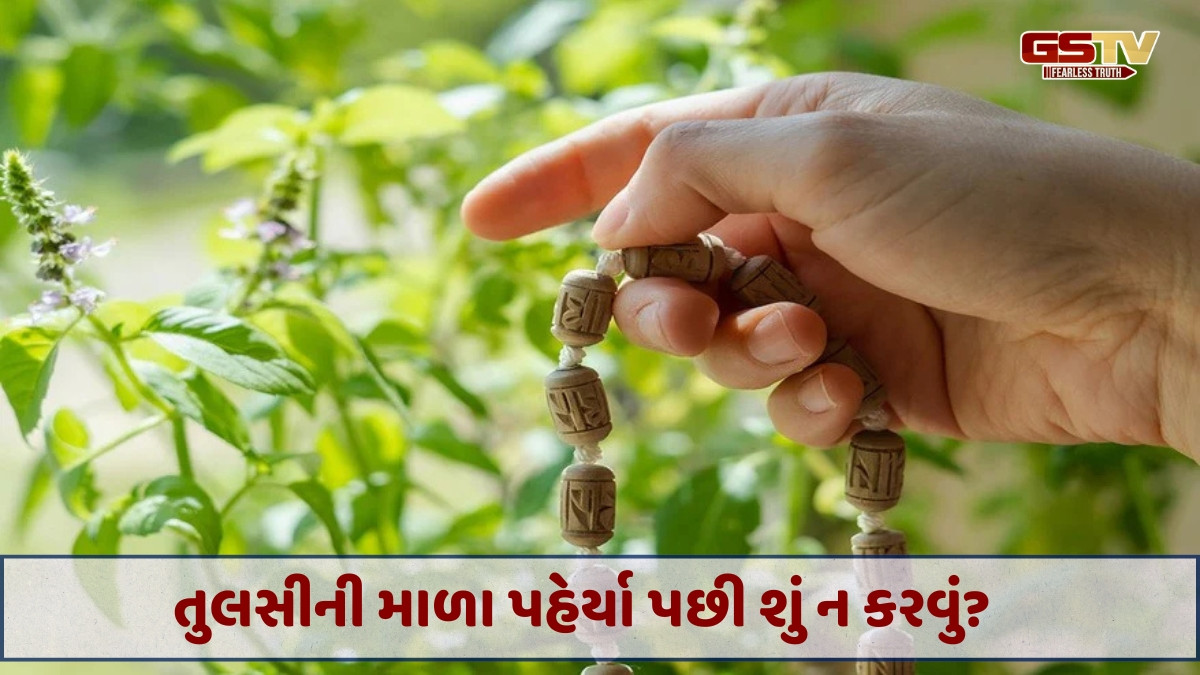 Religion : તુલસીની માળા પહેરીને આ કાર્ય કરી રહ્યા છો, તો તેના ખરાબ પરિણામો આવી શકે છે
