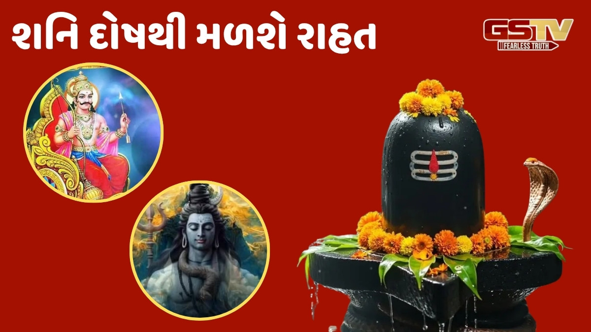 શનિવારે શિવલિંગ પર ચઢાવો આ વસ્તુઓ, તમને શનિદેવની સાથે ભગવાન શિવના પણ મળશે આશીર્વાદ