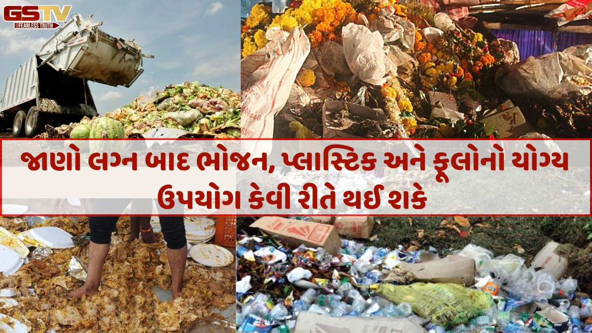 Ravi Purti: એક દિવસના લગ્નને યાદગાર બનાવવા પર્યાવરણને કેટલું નુકસાન પહોંચાડીએ છીએ