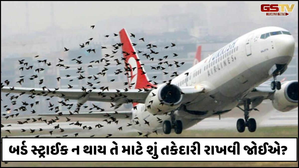 Ravi Purti: પક્ષીઓ ઊડતા વિમાનને જમીનદોસ્ત કરી શકે?