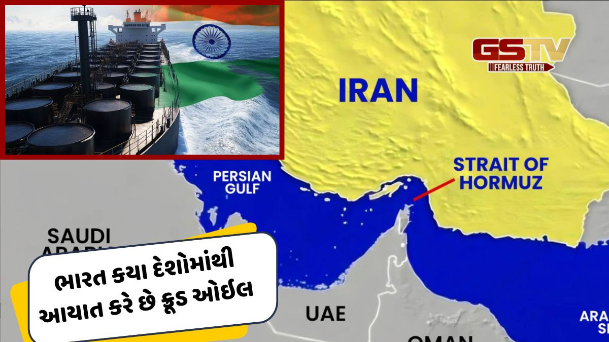 શું હોર્મુઝ સ્ટ્રેઇટ બંધ થવાથી આપણાં પેટ્રોલ પંપ ખાલી થઈ જશે! ભારત કયા દેશોમાંથી આયાત કરે છે ક્રૂડ ઓઇલ