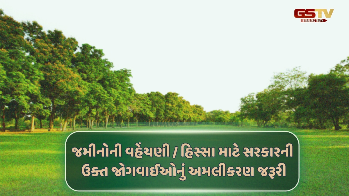 Business Plus : કૌટુંબિક જમીન/ મિલકતની વહેચણી મુજબ હિસ્સા મુજબના અલગ નમૂના નં-7 આપવાની જોગવાઈઓ