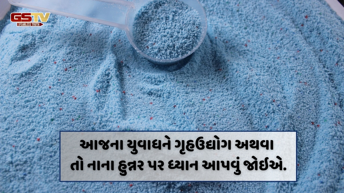 Business Plus : વોશિંગ પાવડર અને ફીનાઈલ અંગેની માહિતી
