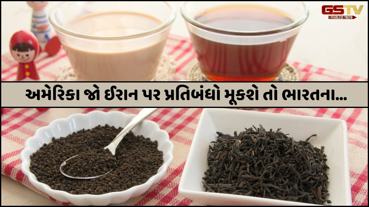 Business Plus: યુદ્ધના પગલે ભારતના ચા નિકાસકારોમાં વધેલો અજંપો