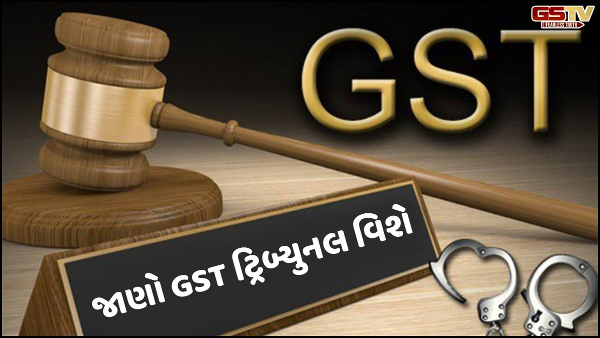 Business Plus: GST કર-પ્રણાલી હેઠળ પ્રથમ અને દ્વિતીય અપીલને લગતી જોગવાઈઓની વિસ્તૃત છણાવટ