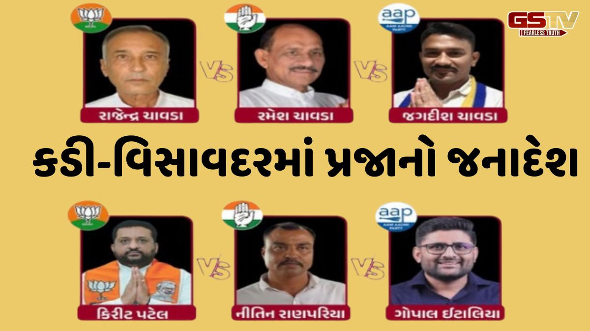 વિસાવદરની પેટા ચૂંટણીમાં ગોપાલ ઈટાલિયાની ભવ્ય જીત, કડીમાં ફરી કમળ ખીલ્યું