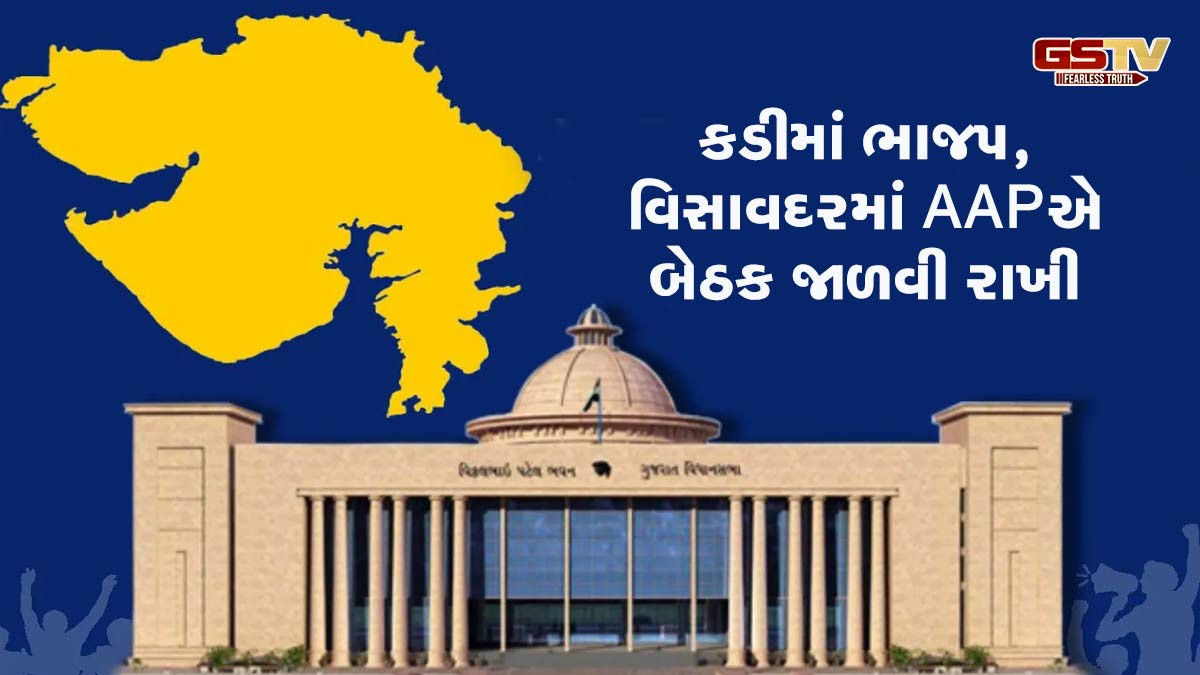 ગુજરાત વિધાનસભામાં ભાજપનું સંખ્યાબળ 162 થયું,ગોપાલ ઇટાલિયાની જીત બાદ AAP મજબૂત 
