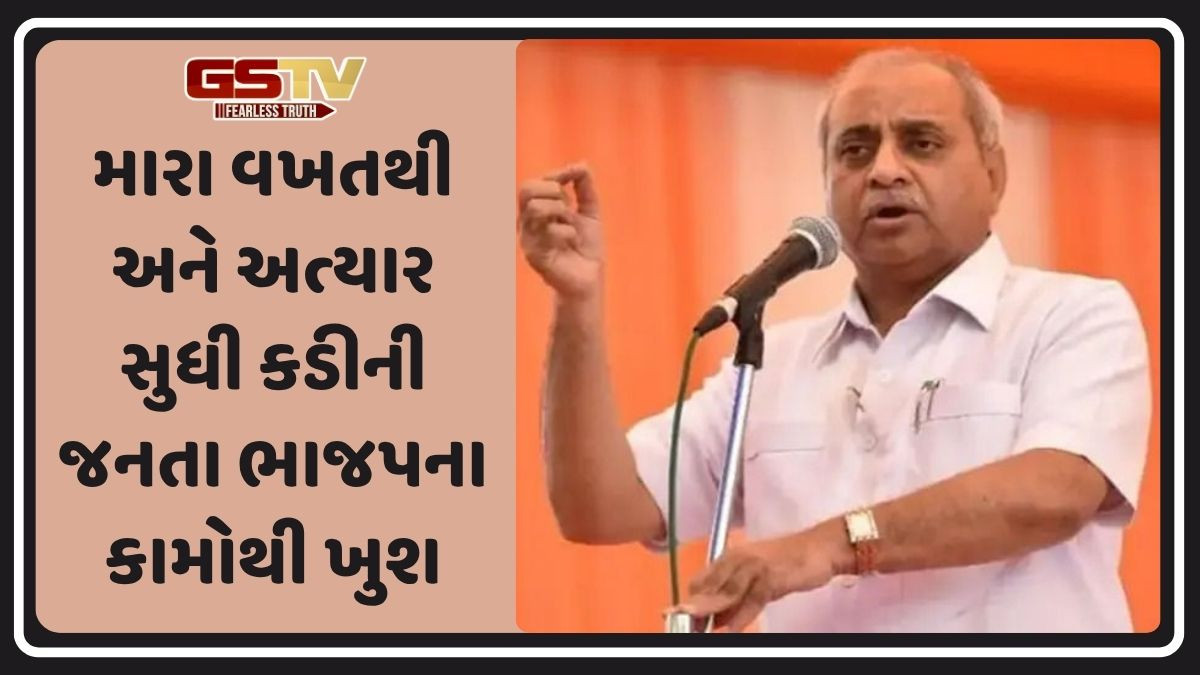 કડીમાં BJPના ઉમેદવારના વિજય બાદ નીતિન પટેલનું પહેલું નિવેદન