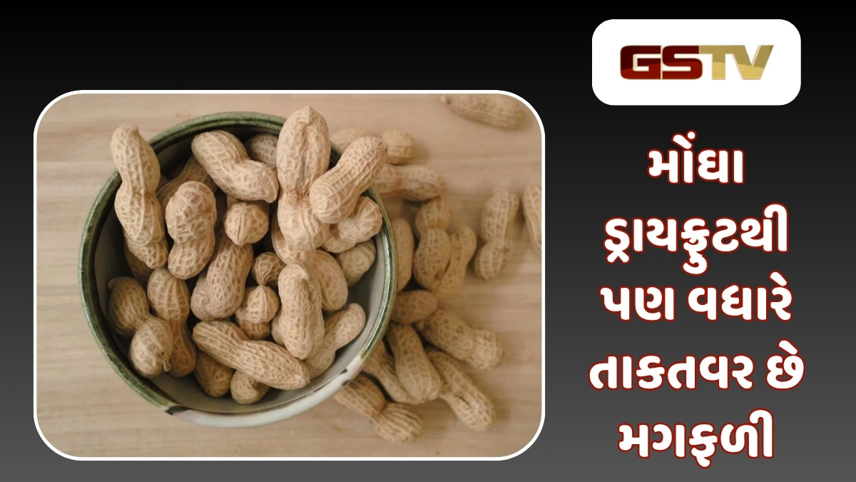 Health Tips : મગફળી સ્વાસ્થ્ય માટે વરદાન સમાન, સેવન કરવાથી મળશે અગણિત ફાયદાઓ