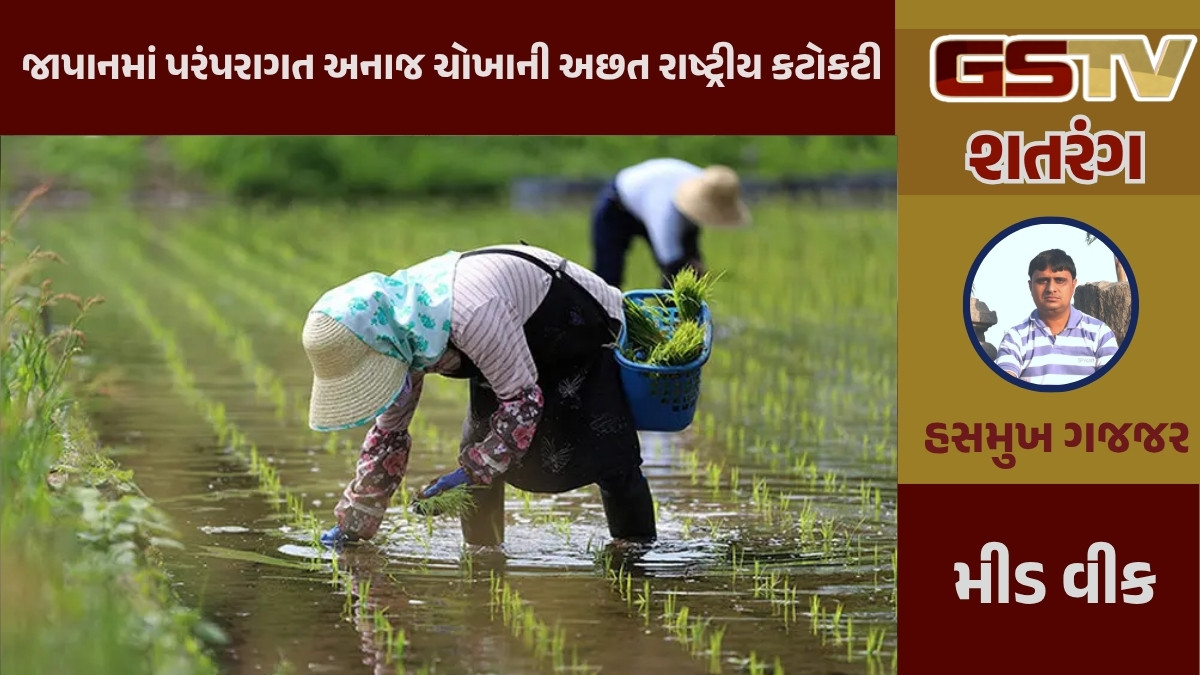 GSTV શતરંગ / જાપાનમાં પરંપરાગત અનાજ ચોખાની અછત રાષ્ટ્રીય કટોકટી