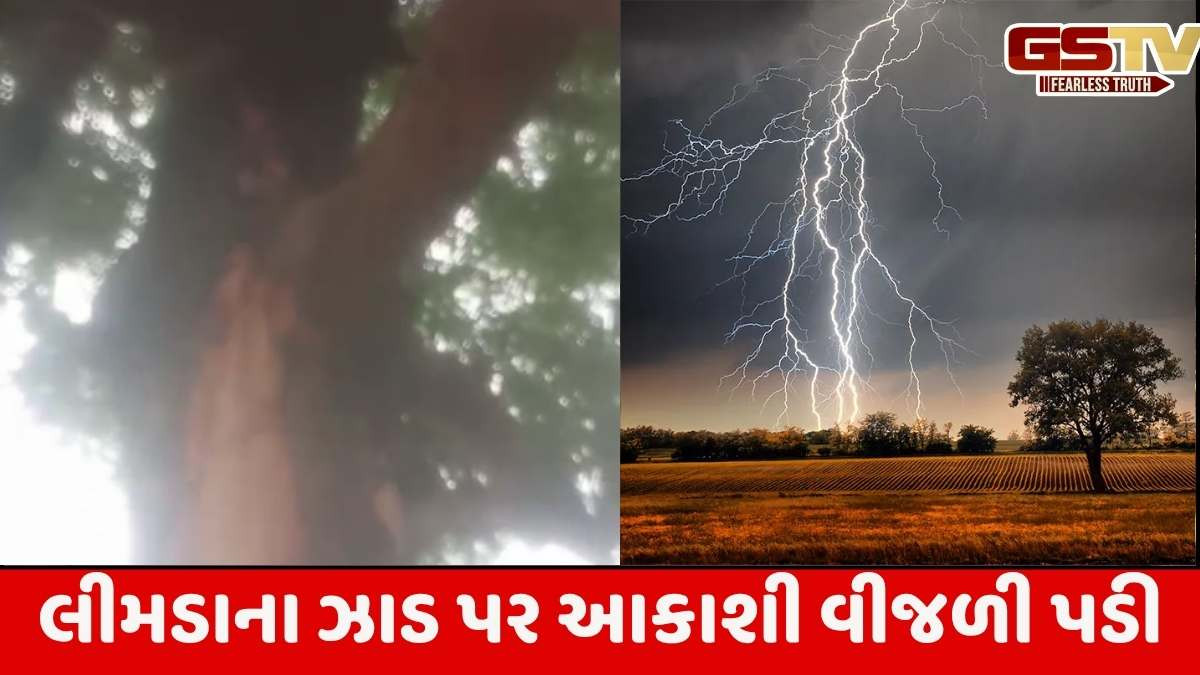 Sabarkantha news: તલોદ તાલુકાના દેવિયા આંત્રોલીની સીમમાં વૃક્ષ પર વીજળી ત્રાટકી