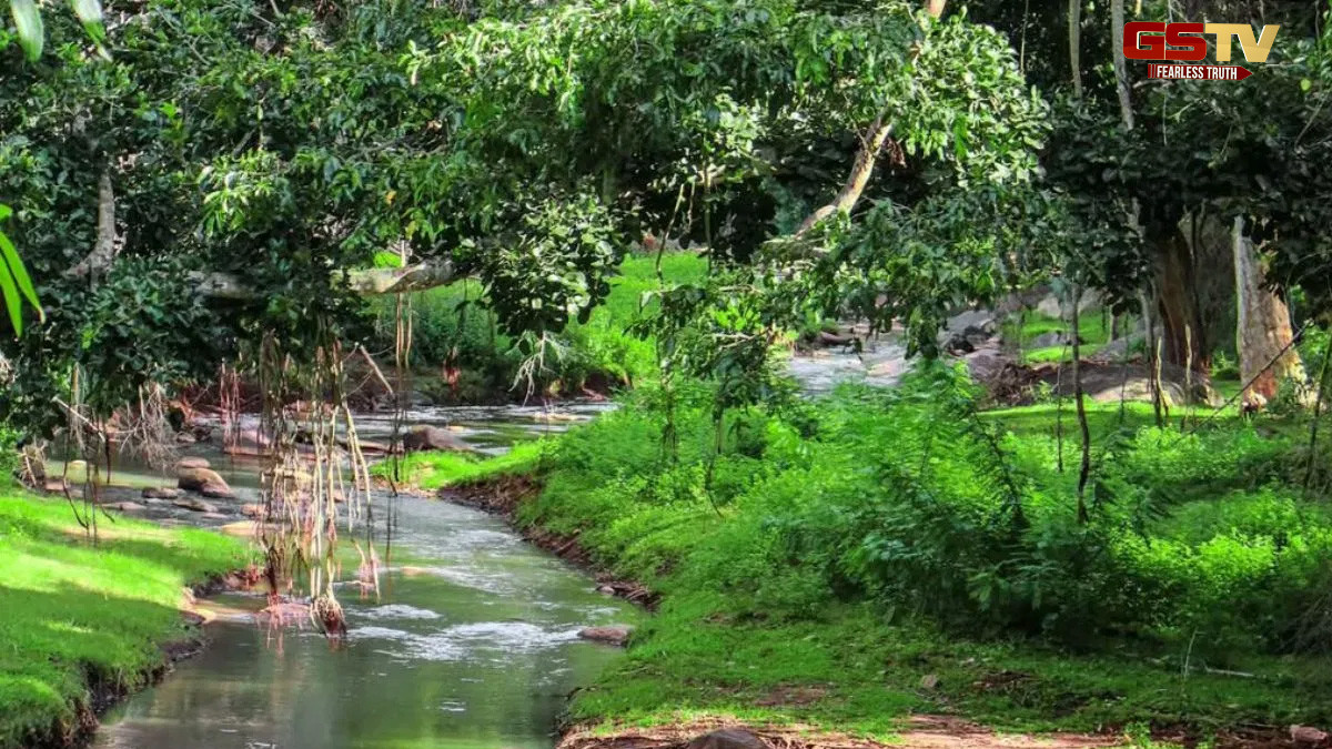 Travel Places : આ સુંદર હિલ સ્ટેશન આવેલું છે ઝરણા વચ્ચે, જુલાઈમાં મુલાકાત લેવા માટે છે શ્રેષ્ઠ 