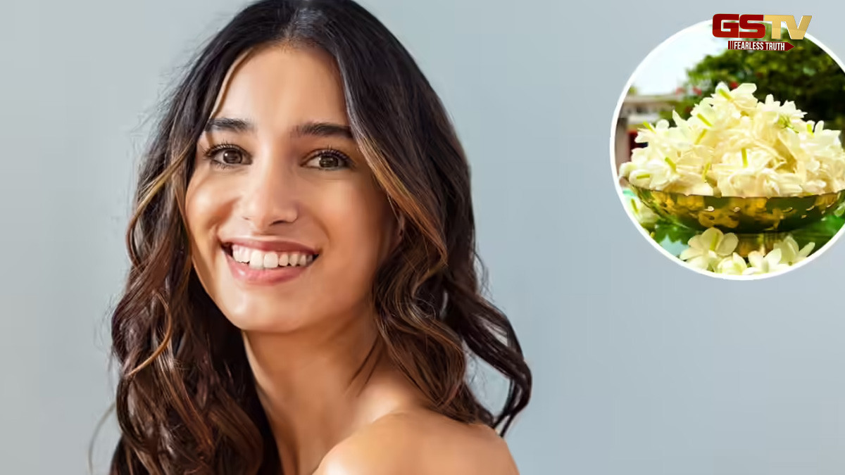 Beauty Tips : ચોમાસામાં ચહેરો ફૂલની જેમ રહેશે ખીલેલો, આ 5 કુદરતી વસ્તુઓનો કરો ઉપયોગ 