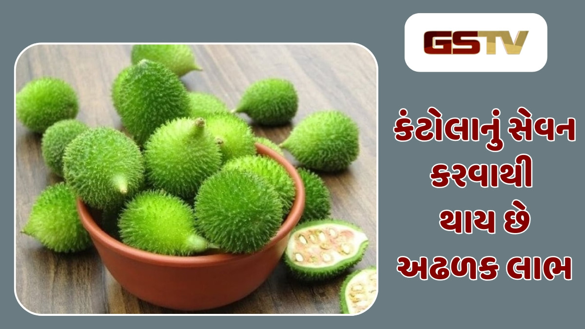 Health Tips : કંટોલા છે પ્રોટીન, ફાઇબર અને ખનિજોથી ભરપૂર, સેવન કરવાથી આ ગંભીર સમસ્યાથી મળશે છુટકારો