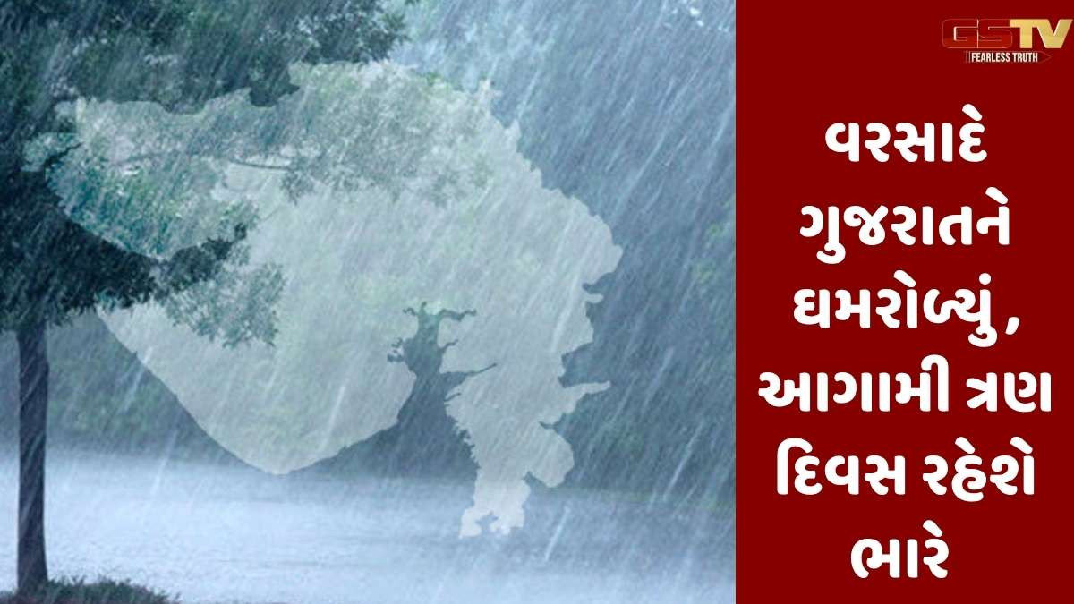 જૂનાગઢમાં મેઘરાજા અનરાધાર વરસ્યા, રાજ્યના  215 તાલુકામાં વરસાદી માહોલ વચ્ચે અપાયું એલર્ટ