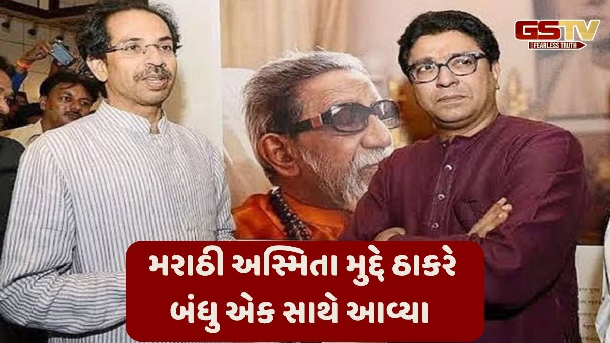 'લેંગ્વેજ ઈમરજન્સી' મુદ્દે ઉદ્ધવ- રાજ ઠાકરે સરકાર સામે કરશે દેખાવો, ભાજપનું વધાર્યું ટેન્શન