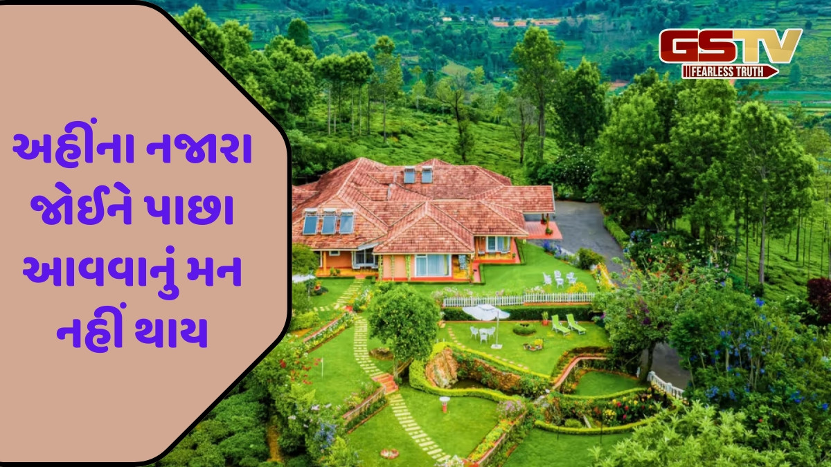 Travel Place / ઉટી-કોડાઈકેનાલ જ નહીં, તમિલનાડુનું આ હિલ સ્ટેશન પણ છે ખૂબ જ સુંદર; જુલાઈમાં લો મુલાકાત