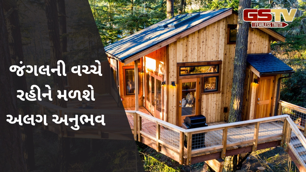 Tree House / પ્રકૃતિની વચ્ચે રહેવા માંગો છો? ભારતની આ જગ્યાઓએ લઈ શકો છો ટ્રી હાઉસમાં રોકવાનો અનુભવ
