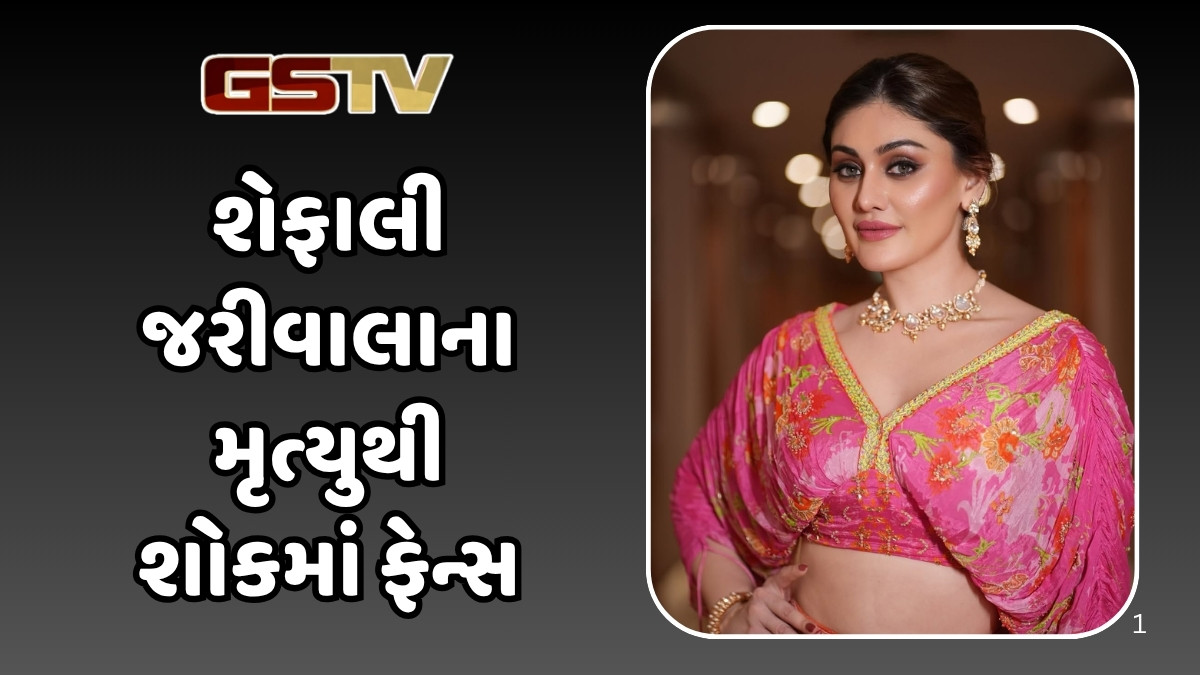 Shefali Jariwalaના મૃત્યુ પછી છેલ્લી પોસ્ટ વાયરલ, ચાહકોએ કહ્યું- 'વિશ્વાસ કરવો મુશ્કેલ'