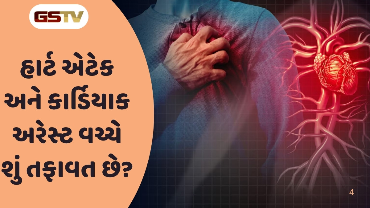Health Tips  :  હાર્ટ એટેક અને કાર્ડિયાક અરેસ્ટમાં શું છે ફરક? જાણો બંનેના લક્ષણો 