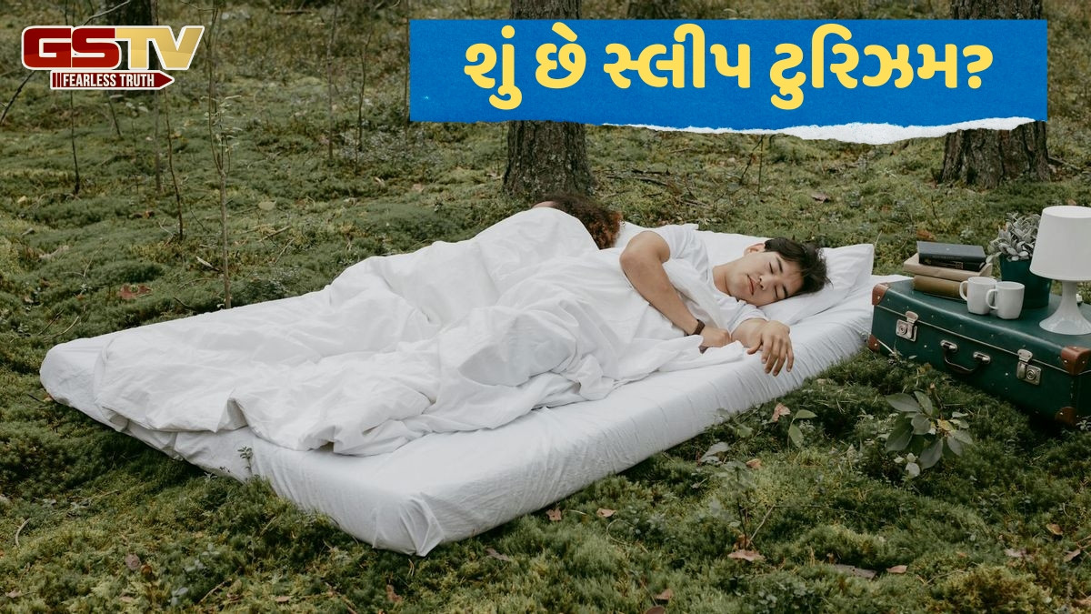 Sleep Tourism / યુવાનોમાં વધી રહ્યો છે સ્લીપ ટુરિઝમનો ક્રેઝ, ભારતમાં તેનો અનુભવ લેવા માટે આ છે 5 ટોપ ડેસ્ટિનેશન